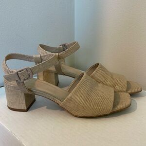Everlane Block Heel Sandal in cream snakeskin